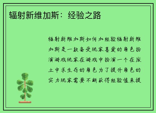 辐射新维加斯：经验之路